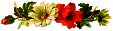 flower.gif